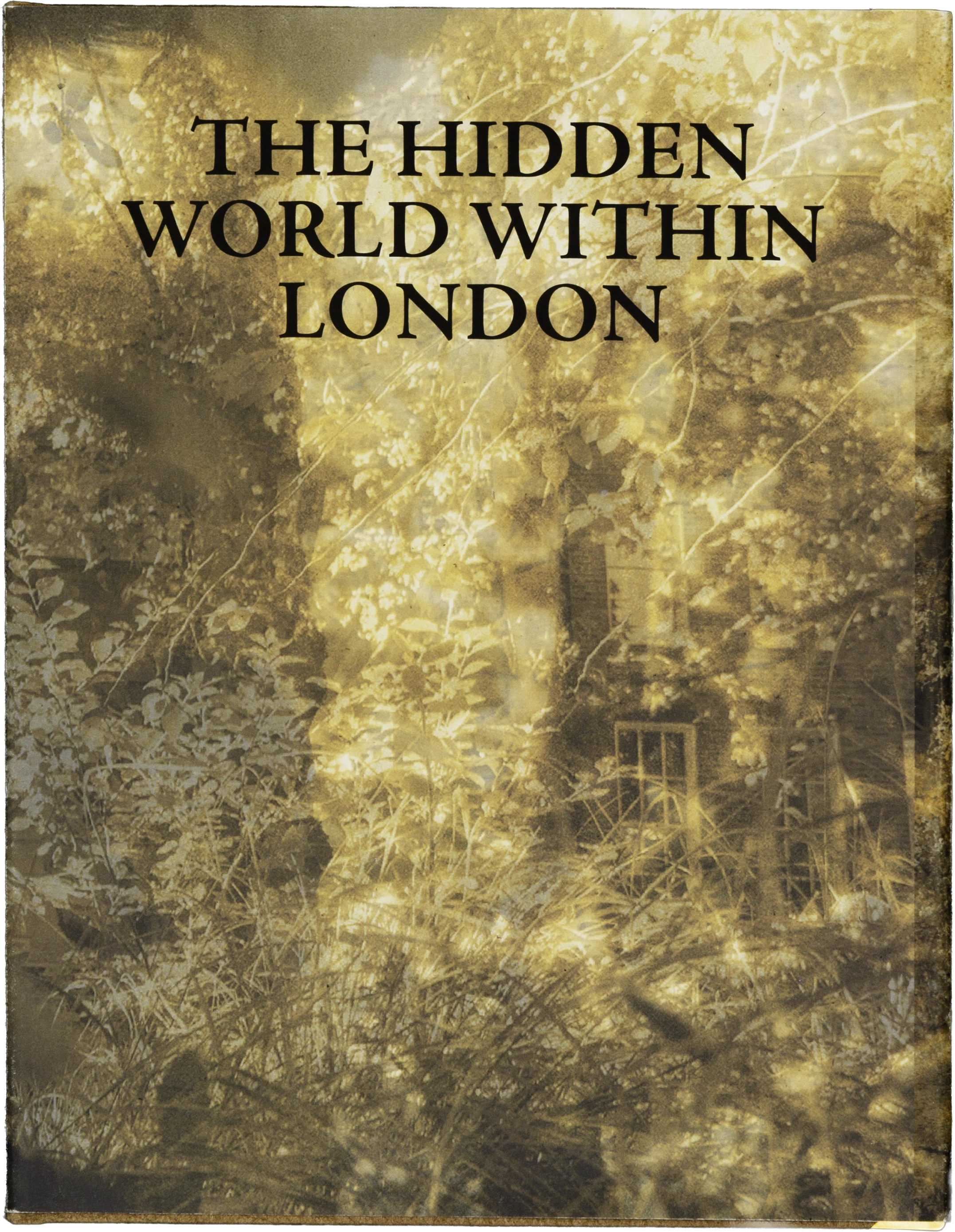 Wild London-Editorial